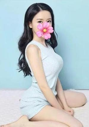 癒し猫 レイ