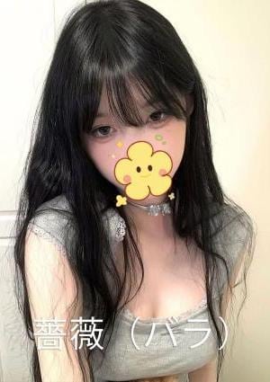 薔薇（バラ） せな