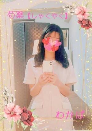 芍薬（しゃくやく） わかばさん