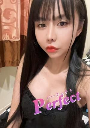 パーフェクト（Perfect） ここちゃん