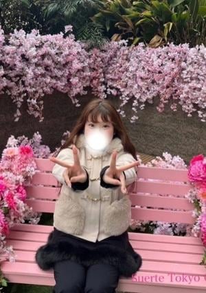 スエルテ東京 こより