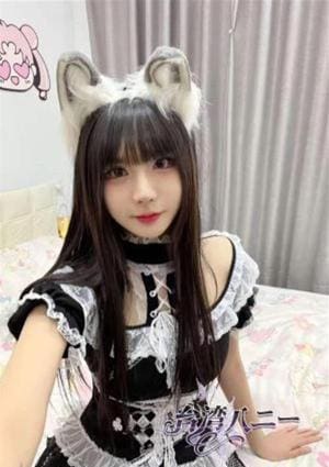 台湾ハニー ねこ