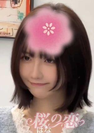 桜の恋 はな