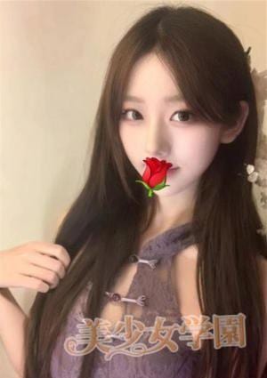美少女学園 ひな