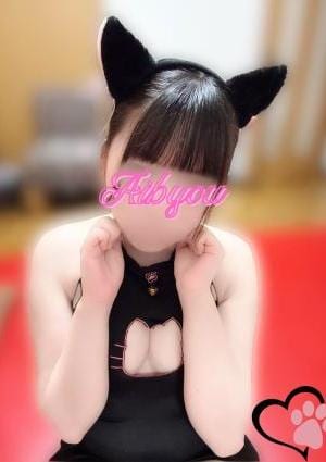 愛猫 陽葵れな