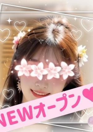 コスモス きき