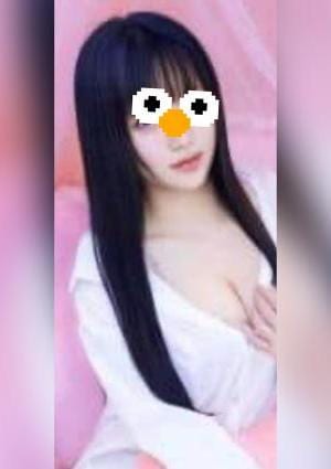 Lovely Angel Cat すず