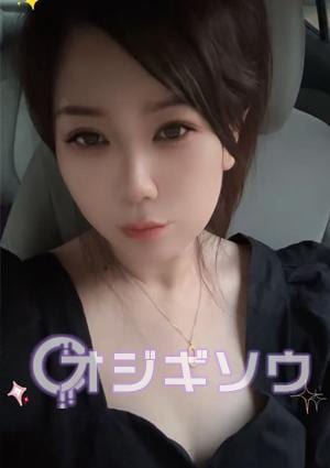 オジギソウ ゆうきちゃん