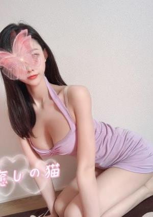 癒しの猫 のあちゃん