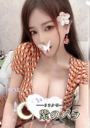 紫のバラ ビビ