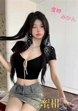 蜜柑（みかん） ねこ