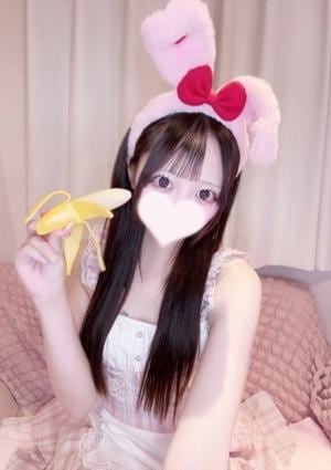 うさぎちゃんスパ ちわわ