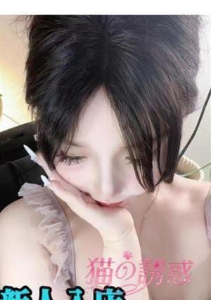 猫の誘惑 ヤヤ