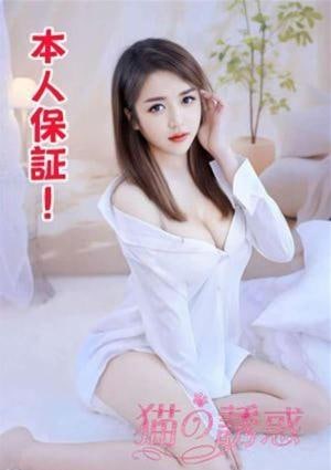 猫の誘惑 てんてん