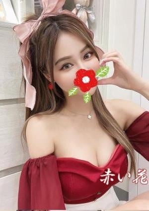 赤い花 さえ