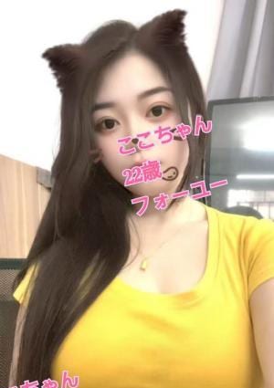 For you ここちゃん