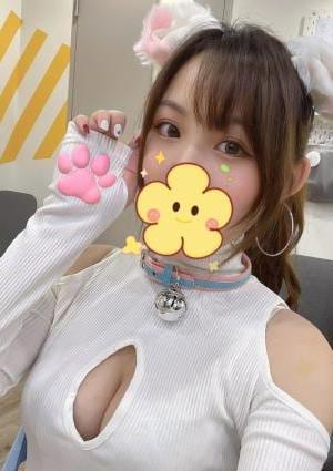 薔薇と紳士 ここ