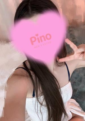 Pino（ピノ）中野ルーム ななみ