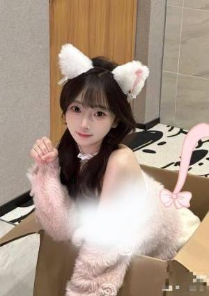 かわいい猫 ゆあちゃん