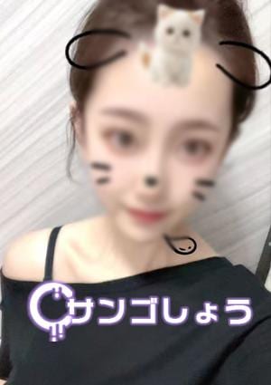 サンゴしょう リサちゃん