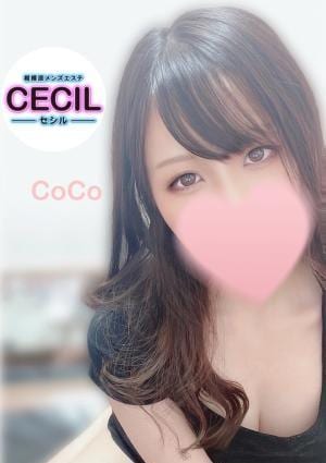CECIL -セシル- 相模原・淵野辺ルーム ここ