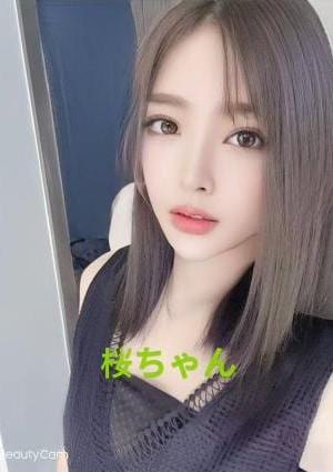 ラブリー 桜ちゃん