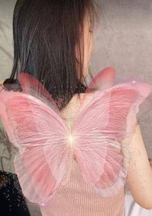 泰舒 さくら