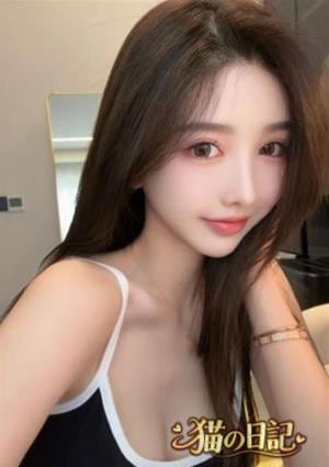 猫の日記 ゆゆこ