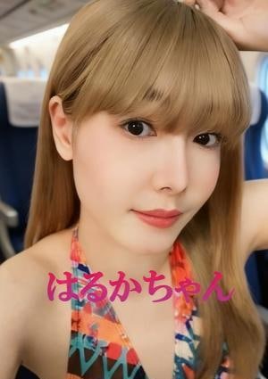 ピンクのひみつ はるか