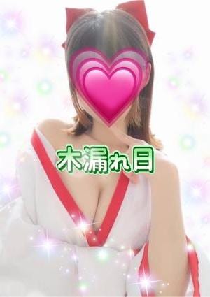 木漏れ日 あゆみ