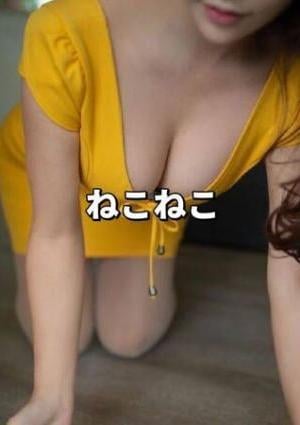 ねこねこ みみちゃん