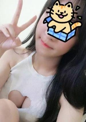 ねこねこ のなちゃん