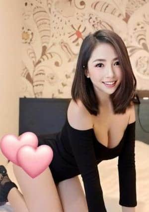紫のバラ せら