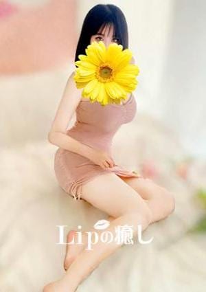 Lipの癒し よよ