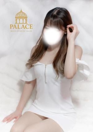 PALACE シルク