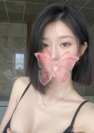 桜色の思い出 ここちゃん