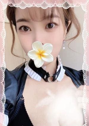 ベルベット 花音ちゃん