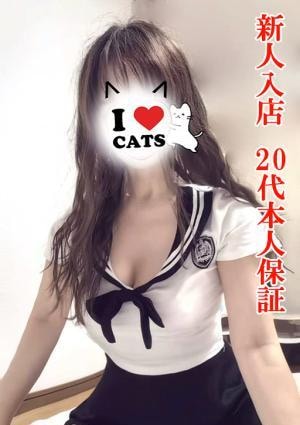 可愛い猫 まお