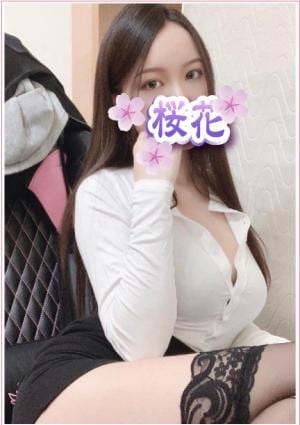 桜花 ハナちゃん