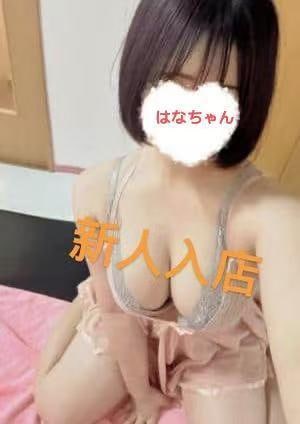 spring（スプリング） はなちゃん