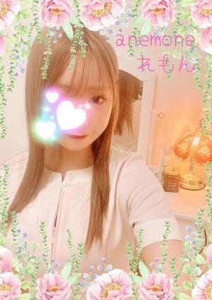 anemone（アネモネ） れもんさん