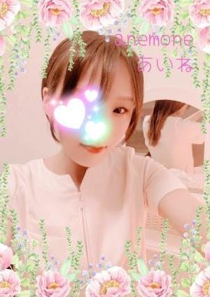 anemone（アネモネ） あいねさん