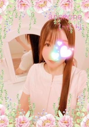 anemone（アネモネ） ひかりさん