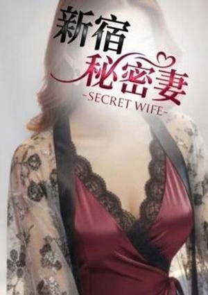 新宿秘密妻 アオノ