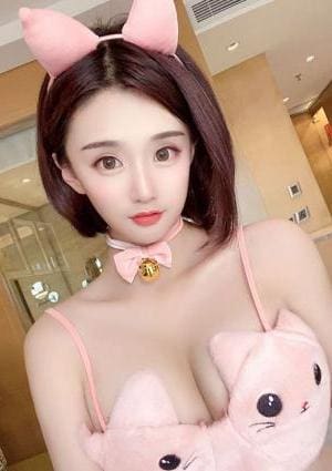 20代ハッピー猫 あやちゃん