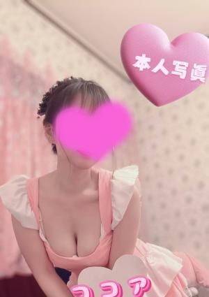 ココア 【新人】まりちゃん