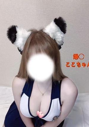 べとべと動物園 ここちゃん