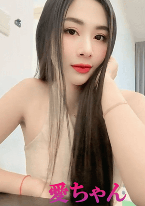 可愛い猫（かわいいねこ） 愛