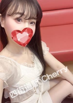 ひまわり ももちゃん12.3入店