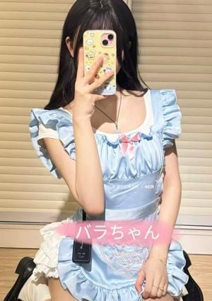 あじさい バラちやん